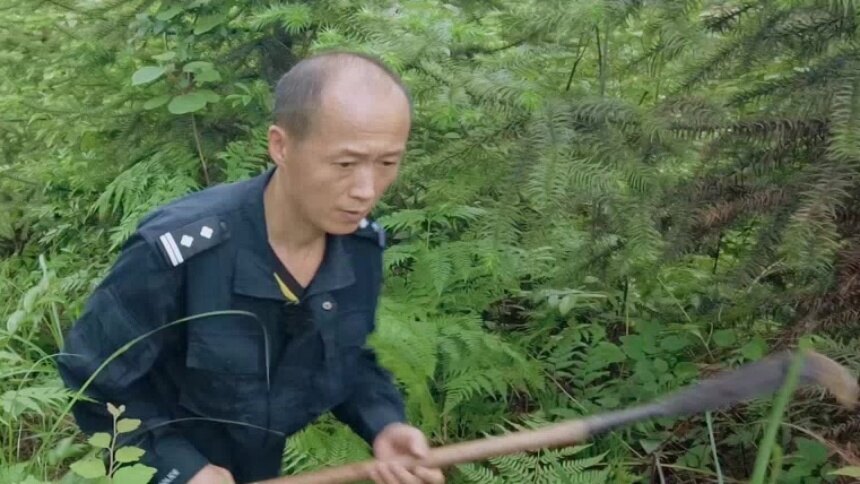 湘西山中勘查陈湜意外摔倒 屈轶龄：没事，你是大孩子了