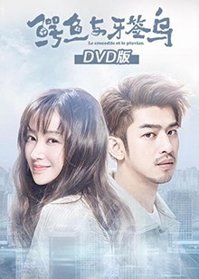 鳄鱼与牙签鸟 dvd版