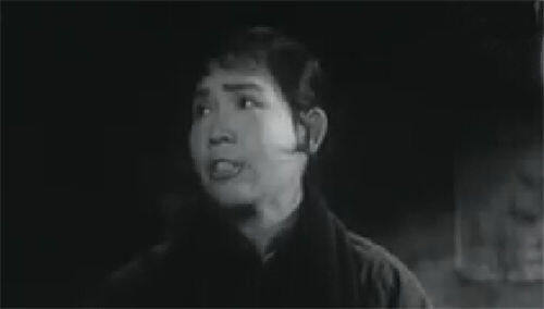 昆仑山上一棵草