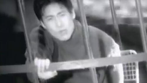 张学友《望月》