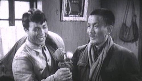 鸿雁