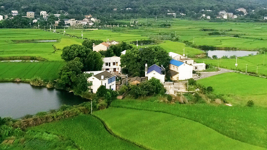 三湘巨变微纪录·四十年四十村：“内外兼修”的长沙杨林桥村