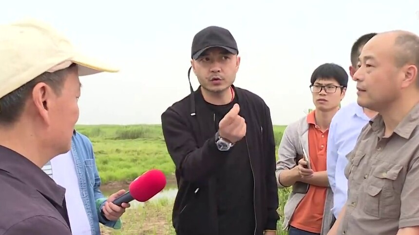 绿色中国年度人物汪涵：麋鹿回归洞庭 未来不再迷路