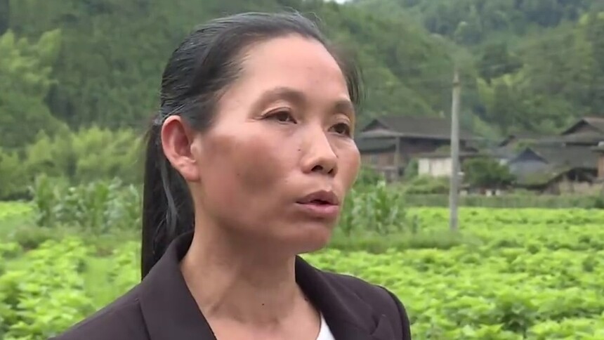 怀化通道 新时代新担当新作为·攻坚克难在一线（一） 木脚村的“吴大胆”：风风火火 敢想敢做