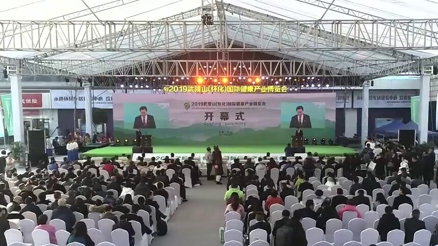 2019武陵山（怀化）国际健康产业博览会开幕