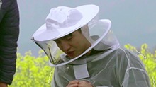 被蜂蜜吓到发出猪叫声  硬核纯汉金瀚你变了