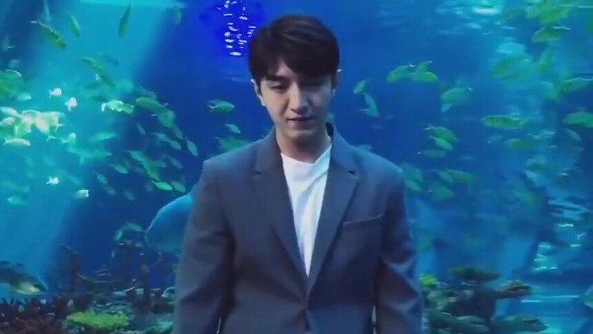 【金瀚VLOG】金瀚的900w福利，快来看看是什么吧