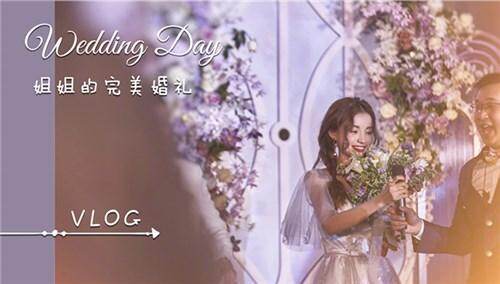 【林小宅】小宅vlog之姐姐的完美婚礼