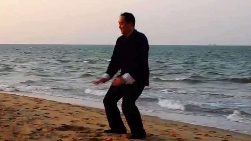 赏体育|刘勇演练陈氏太极拳