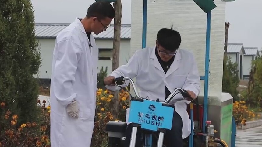 大学生“羊倌”：专业强 责任重