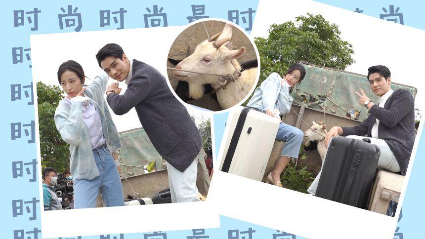 果酱独家：方凌永驻田野大片 羊咩咩高冷助攻