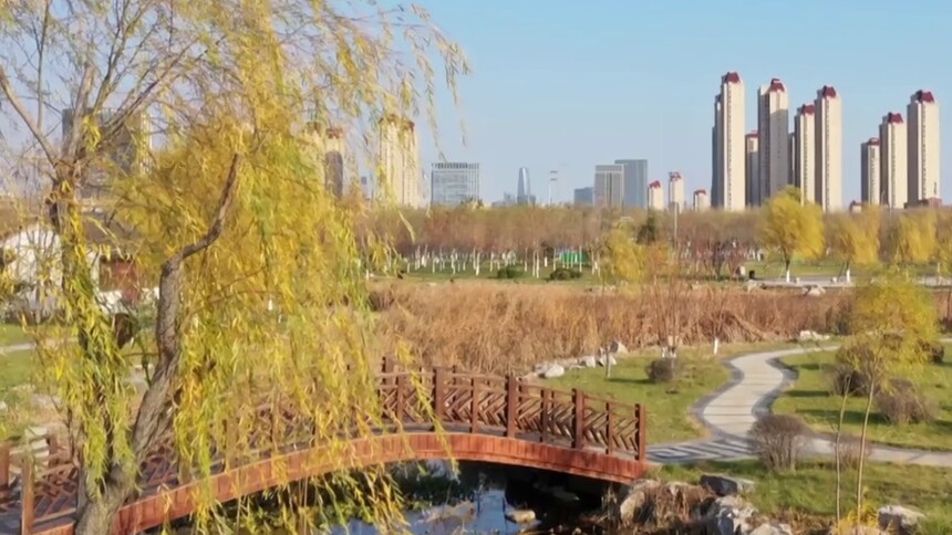 天津水西公园：碧水绿地为城市添美