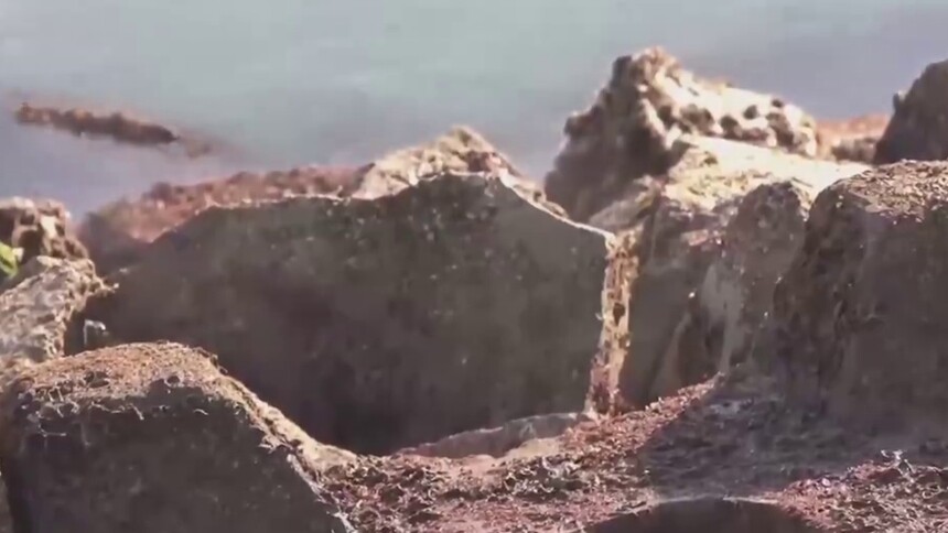 青岛遇寒潮 现“海浩”奇观