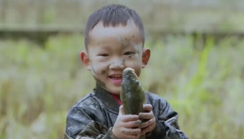 孩子们的快乐时光：抓稻花鱼
