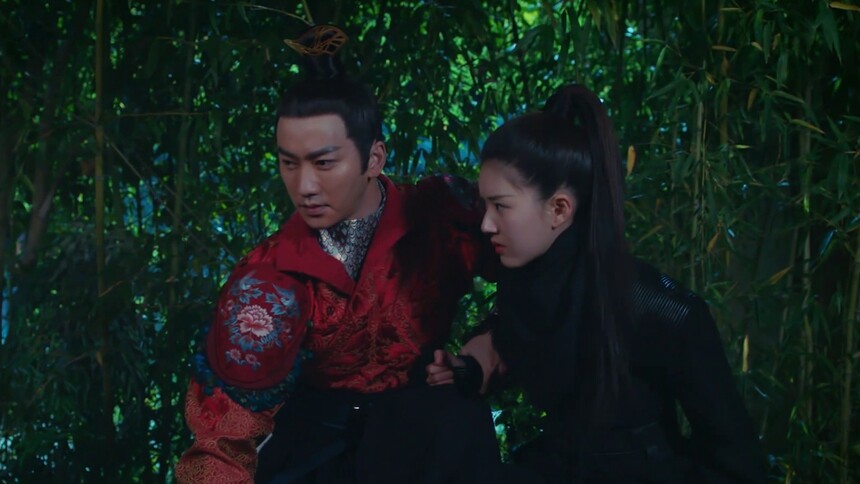 川儿行刺大皇子被二萌所救