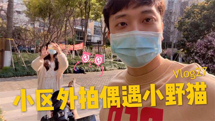 【白眼先生JaySin】路边的野花不要采，路边的小野猫该摸么？