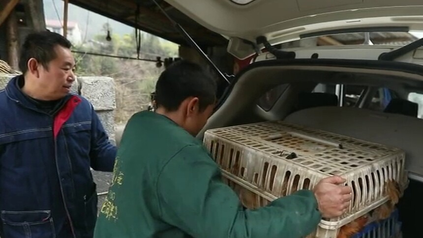 （决战决胜脱贫攻坚）扶贫家书 熊庆发：扶贫何惧万重山