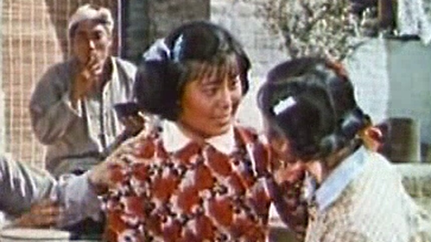 我们村里的年轻人（续）