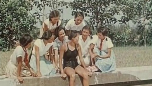 女跳水队员