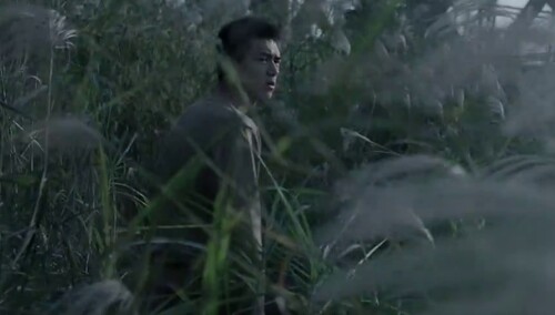 李现在摇曳的芦苇丛里找寻心爱之人