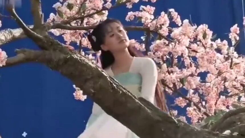 袁冰妍爬上树毫不惧怕，还大胆在上面玩耍，太厉害了