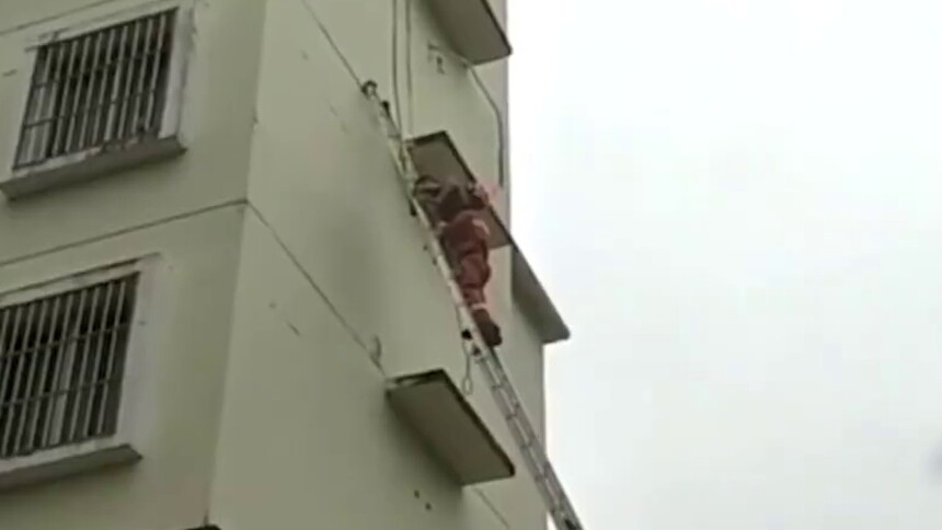 海南白沙：工人被困在半空中 消防员架云梯营救