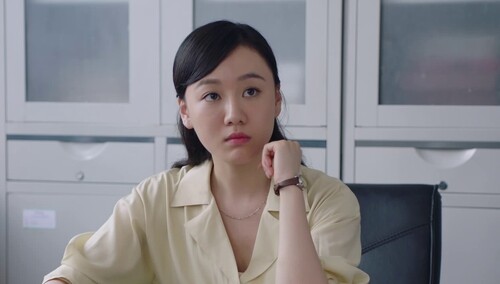 赵金志求燕子帮忙说服许父出山