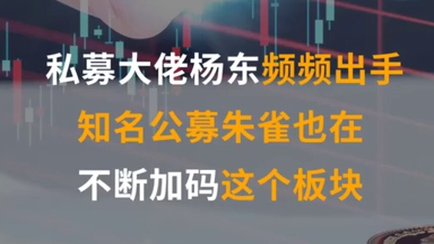 中国财富报道|私募大佬杨东频频出手，知名公募朱雀也在不断加码这个板块！