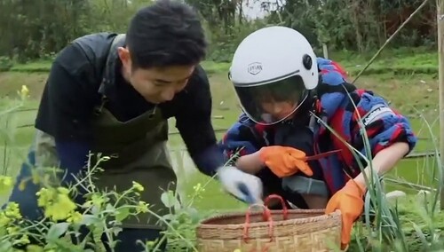 张子枫刘晓邑一同采青苔 好奇心满满超可爱