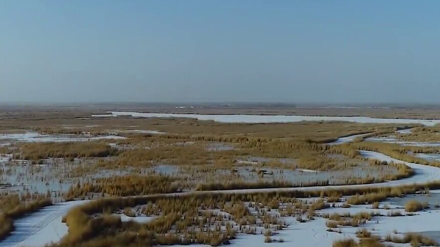 新疆故事·新疆我的家|放歌博斯腾湖的巴图那生