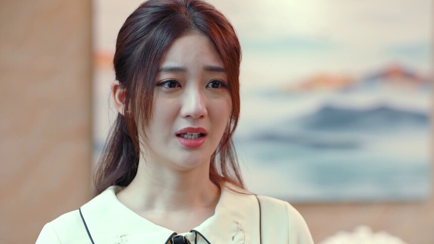花明月乔装成美莲，向花明晨妈妈道歉