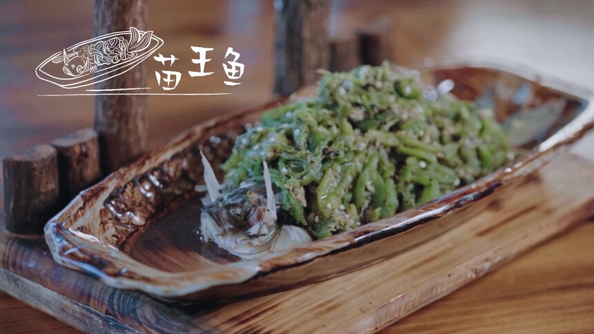 气势拉满的苗王鱼