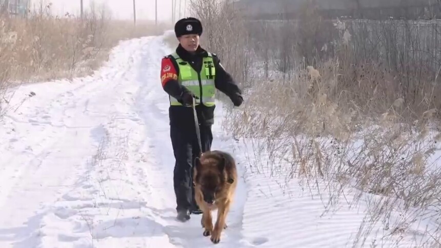 新华全媒+丨巡防犬虎子的“最后一个春运”