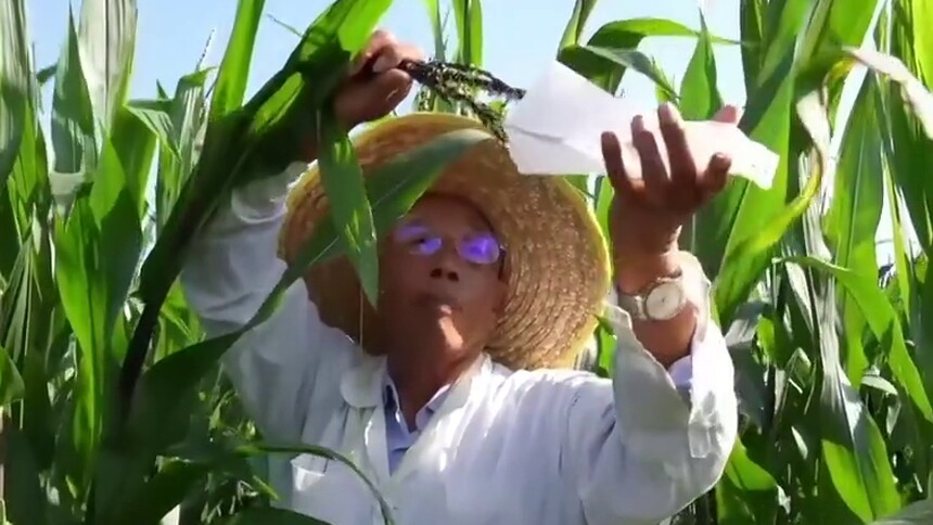世界粮食日·育种｜程相文：扎根田间近60载 矢志不渝育良种