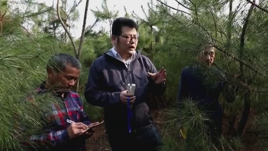 惟楚有才 湖南省林科院李辉：矿山生态修复 构建绿色湖南