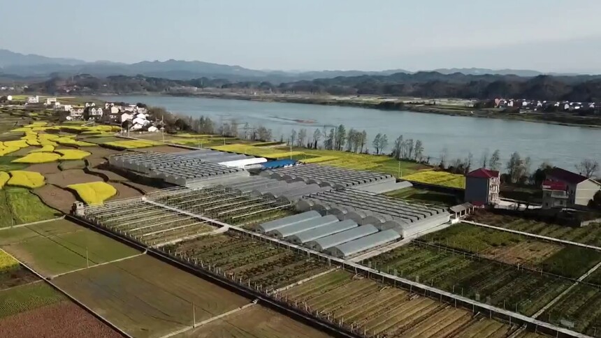 秧苗坐上“摩天轮” 吹着空调晒“太阳” 春耕都这么科技范儿了吗？
