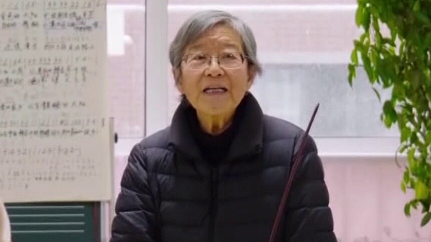 邓小岚 马兰花儿筑梦人