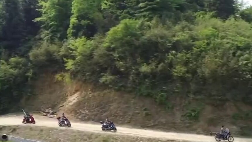 一头扎进深山老林 守护好每一座山每一棵树