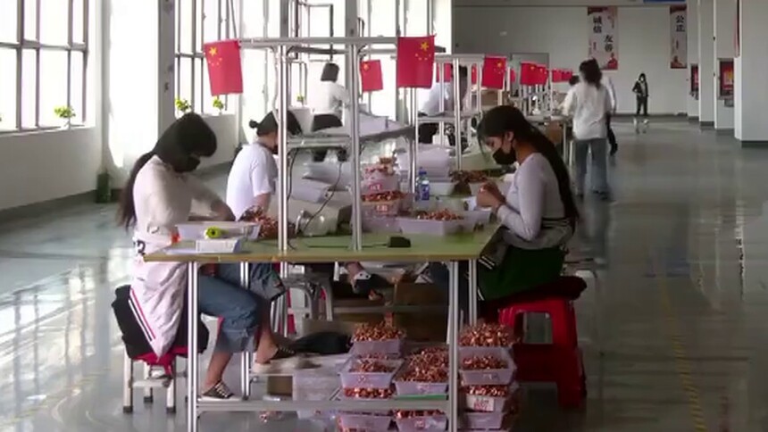 我的就业进行时｜来自阿卜杜热合曼的“就业报告”