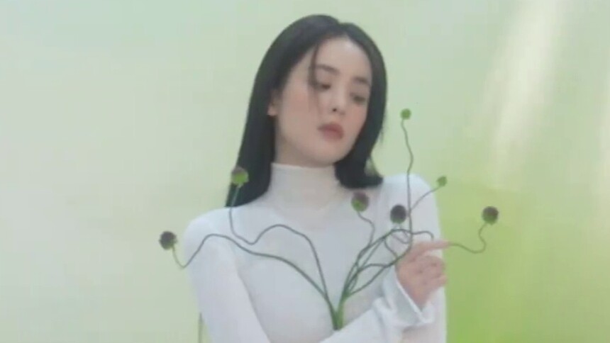 春意盎然大片！杨洋李易峰杨幂拥抱春日浪漫