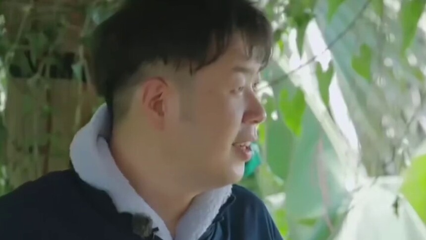 吴昕维嘉被指做假鼻子 何炅被曝植发？