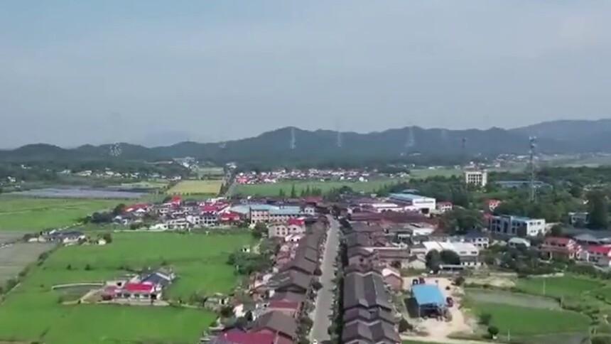 希望的田野 长沙县湘丰村：萌虎跃茶山 集体经济“提档加速”