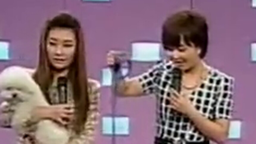 欢迎爱光临20110327期：美女为爱狗遭男生拒绝