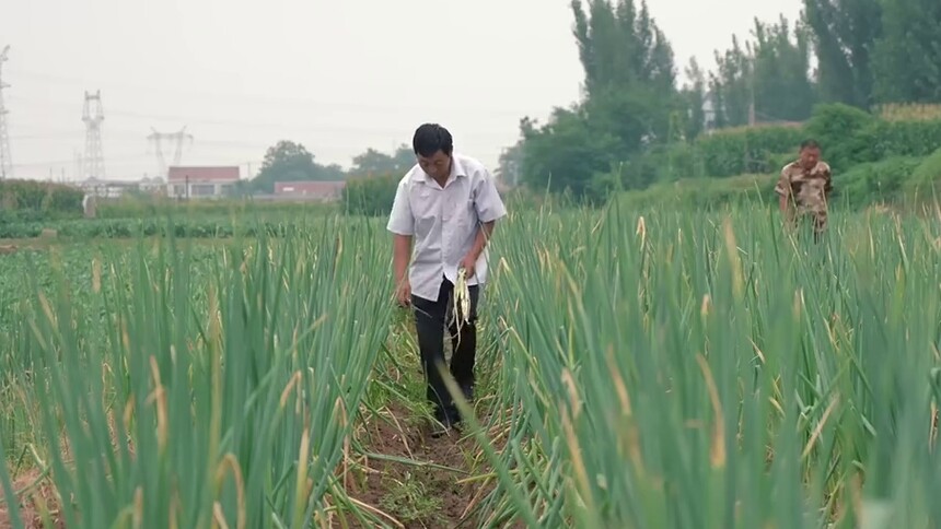 我的追梦故事｜宋光宝：聚焦高品质 让章丘大葱香飘四方