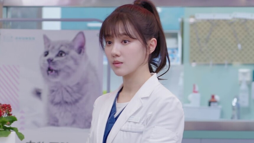 沈辰田宇贤计划参与活动事项