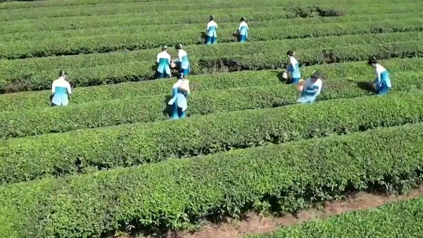 台青谢孟霖：回大陆，感受到家的温暖
