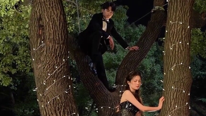 《以爱为营》花絮：郑书意时宴易扬爬树名场面