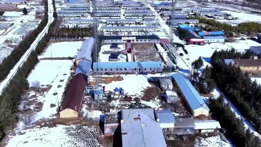 黑龙江伊春：老林区加快数字乡村建设