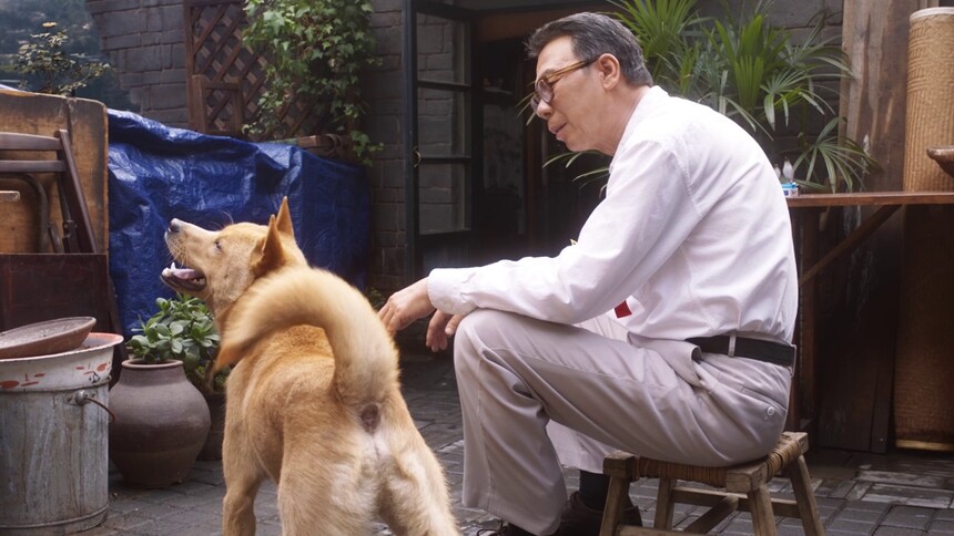 《忠犬八公》“女儿出嫁”片段 浓浓烟火气中述说父爱炽烈深沉