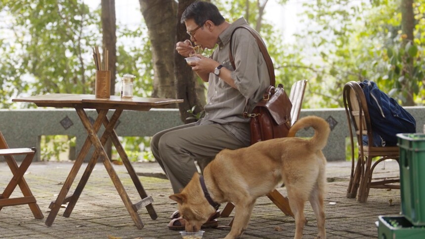 《忠犬八公》片尾曲MV 八筒与主人双向奔赴定格幸福瞬间